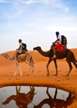 Desert & Adventure